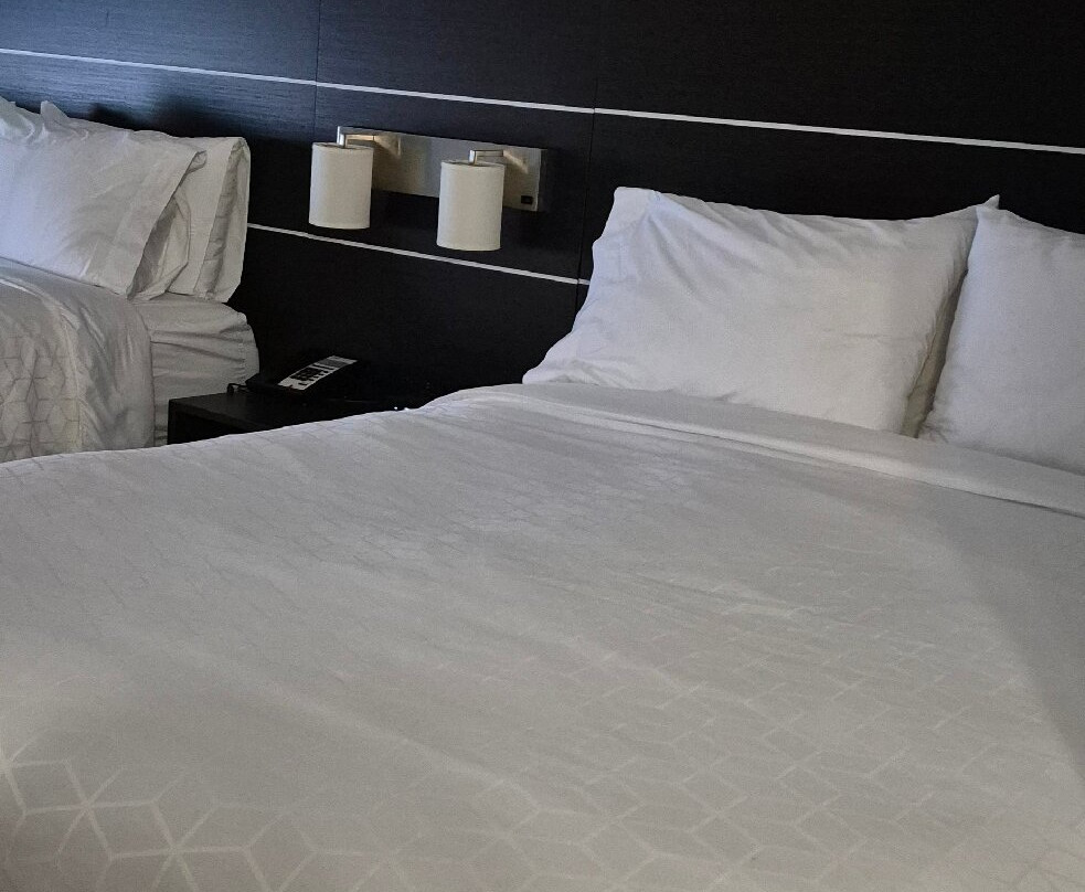 Holiday Inn Express & Suites Live Oak by IHG主图