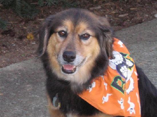 Inn at Iris Meadows-浴室