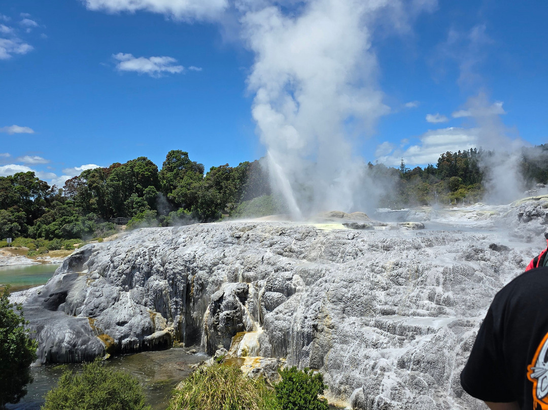 Smith Tour Company-陶兰加必去景点