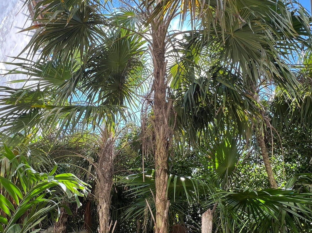 Casa Mia El Cuyo Eco Beach Boutique主图