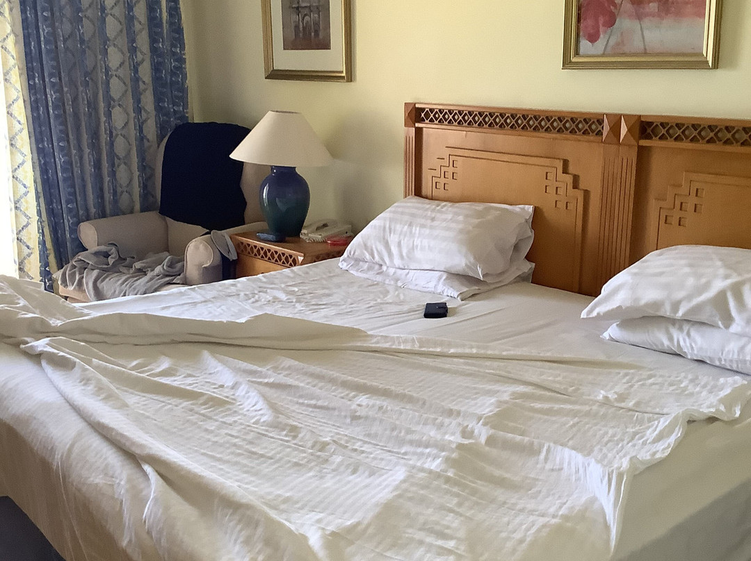 萨尔哈什古宫度假酒店主图