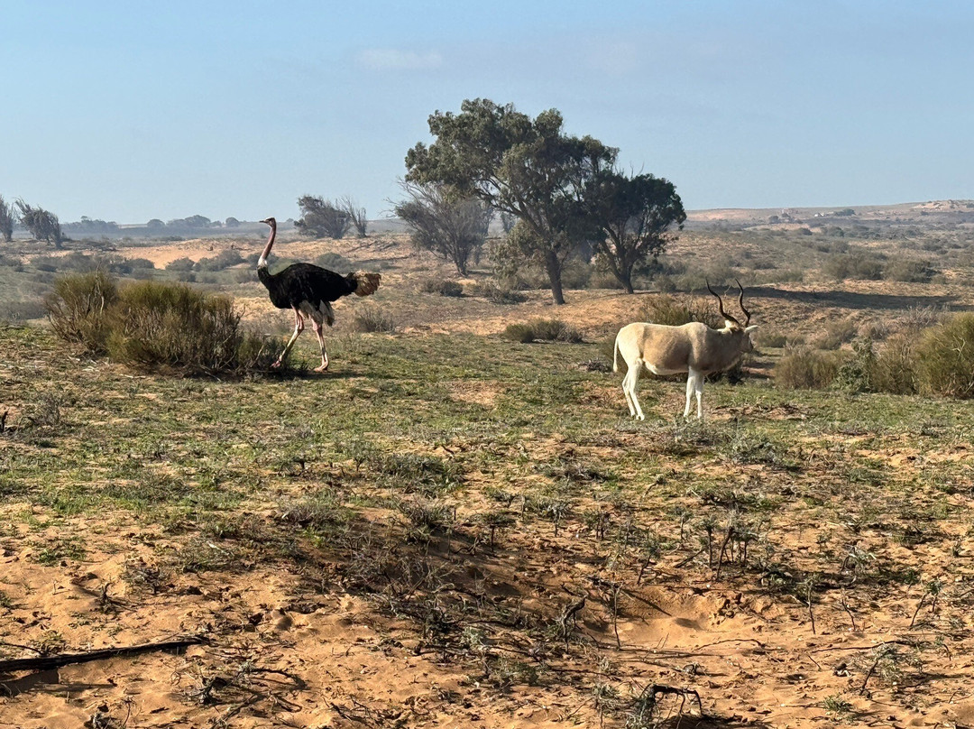 Ranch Tamri-阿加迪尔必去景点