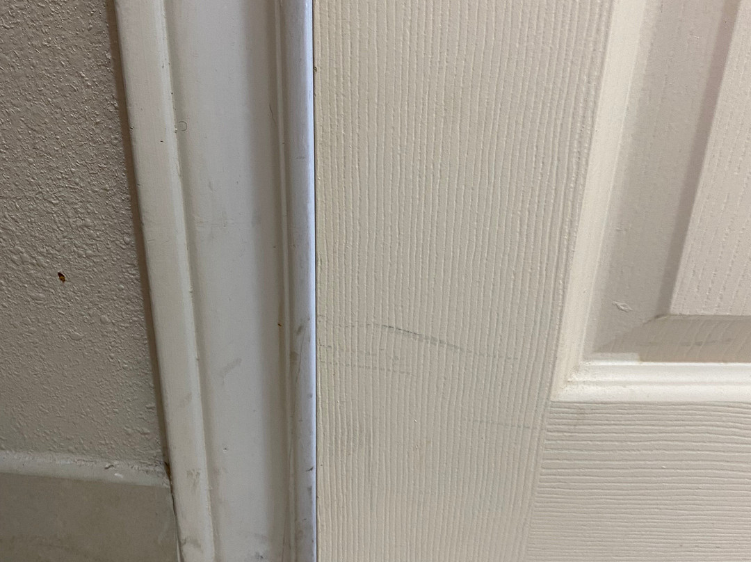 Holiday Inn Express & Suites Texas City By IHG主图