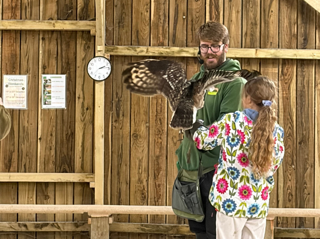 Screech Owl Sanctuary & Animal Park-St Columb Major必去景点