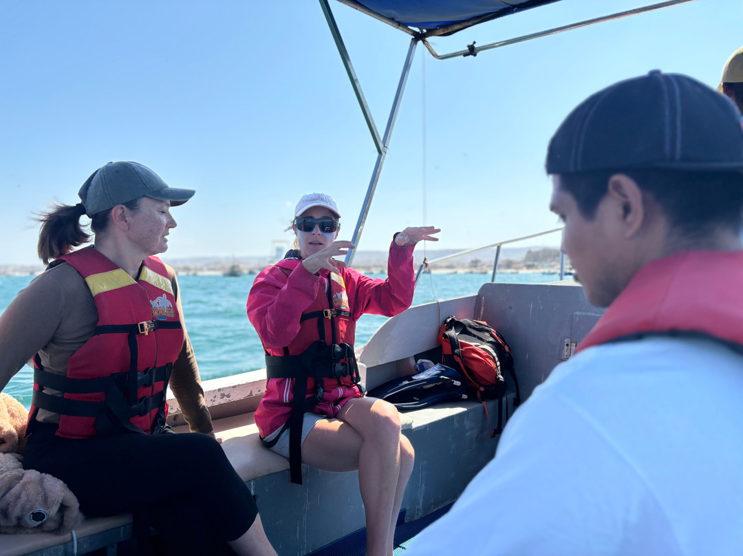 Alagua-Organos必去景点