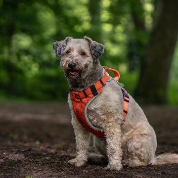 Hotel Gasthof Dunckhoefner