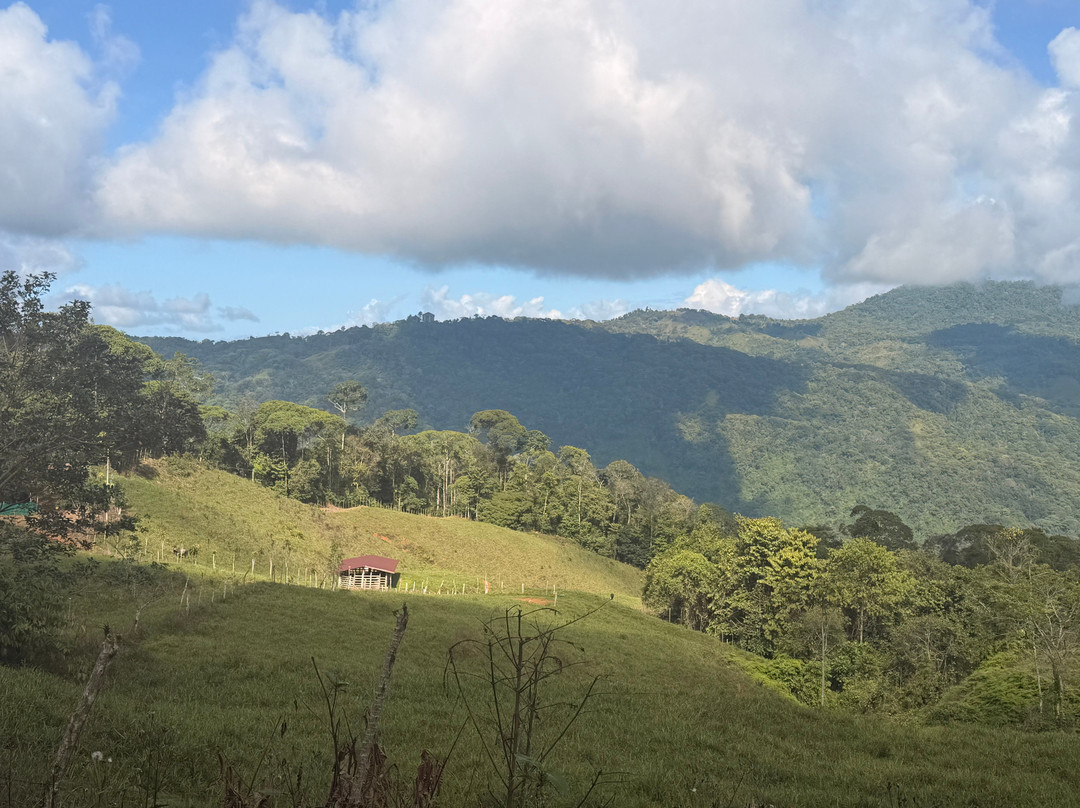 Jungle ATV Quad Tours-乌维塔必去景点