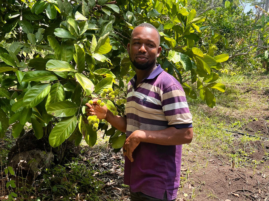 Village Green Spice farm-桑给巴尔岛必去景点