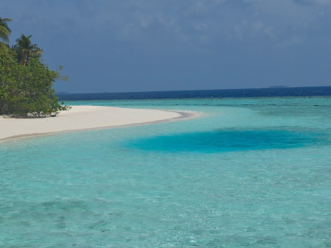 Joy Dive Maldives-萨芙莉岛必去景点