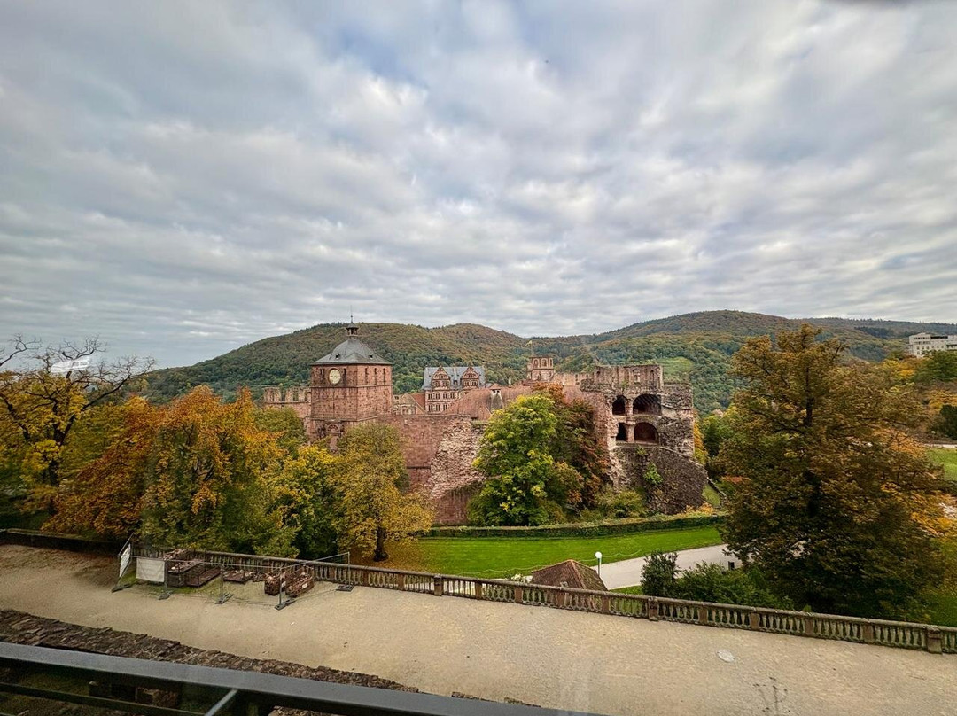 海德堡旧城区-海德尔堡必去景点