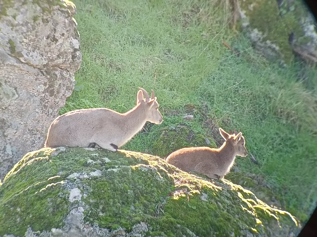 Lyncis Ecoturismo Y Medioambiente-Guarroman必去景点
