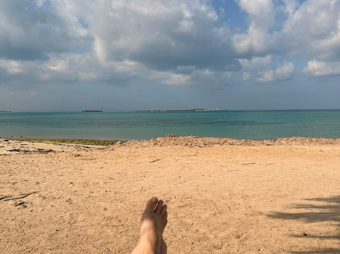 Trip2Djib-吉布地必去景点