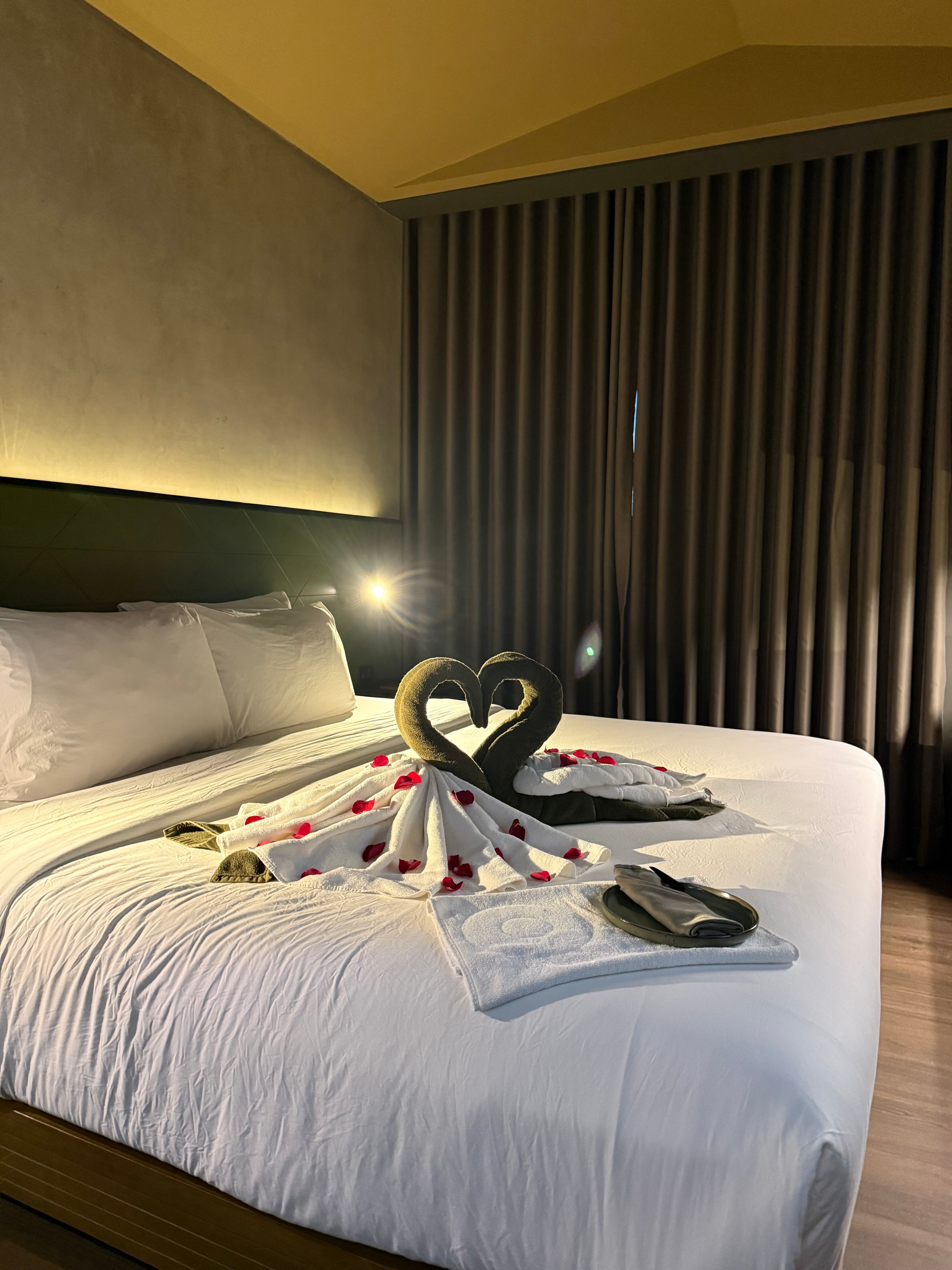 The Funny Lion El Nido-官方