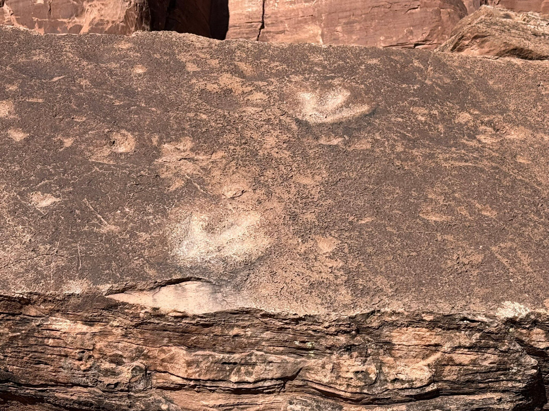 Potash Road-莫阿布必去景点