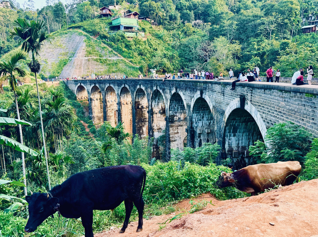 Ceylon Hunt-赛杜瓦必去景点