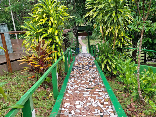 Amazonia Jungle Hotel主图