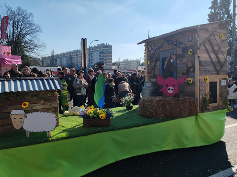Carnaval de Chalon Sur Saone-索恩河畔沙隆必去景点