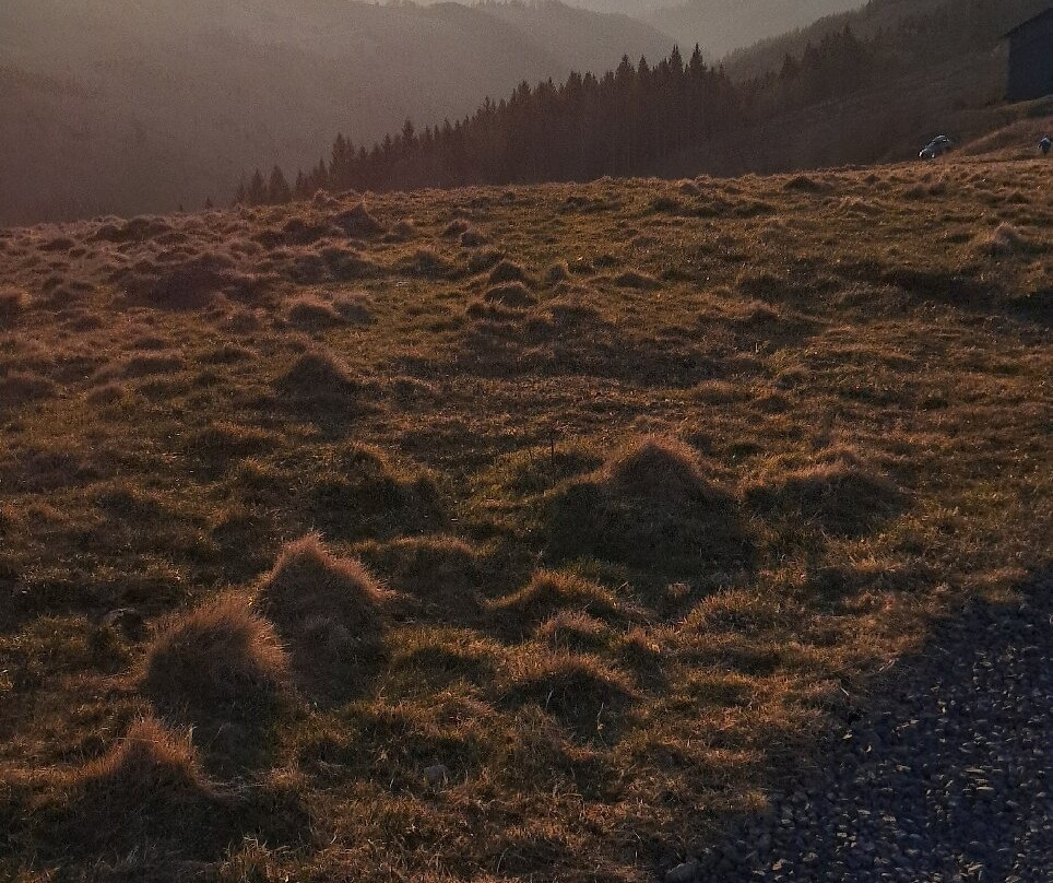 Col de Legal-Saint-Projet-de-Salers必去景点