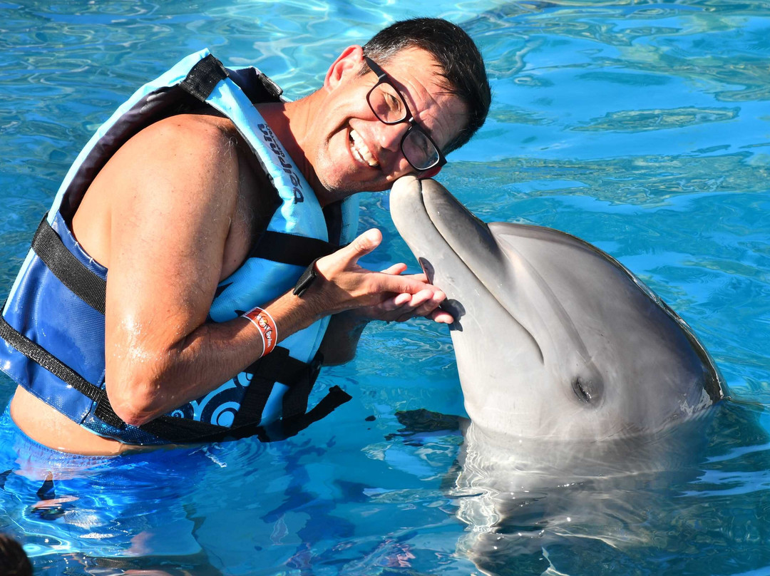 Dolphin Discovery Playa Del Carmen-普拉亚德尔卡曼必去景点