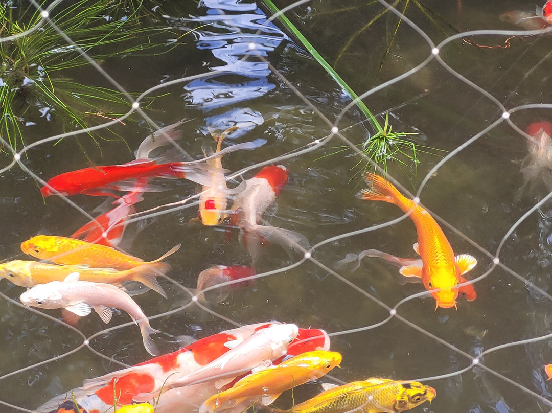 Fazendinha Zoomix-Franca必去景点