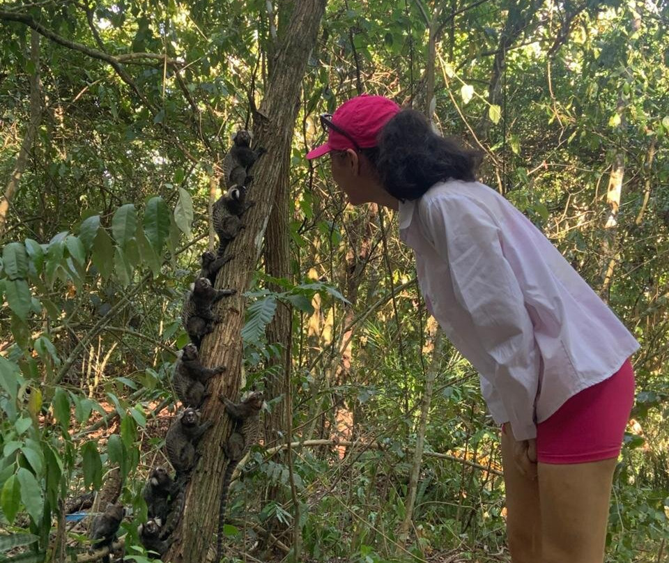 Trilha Pedra do Telégrafo-里约热内卢必去景点