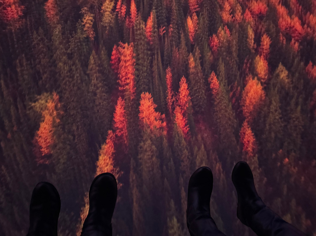 飞越加拿大-温哥华必去景点