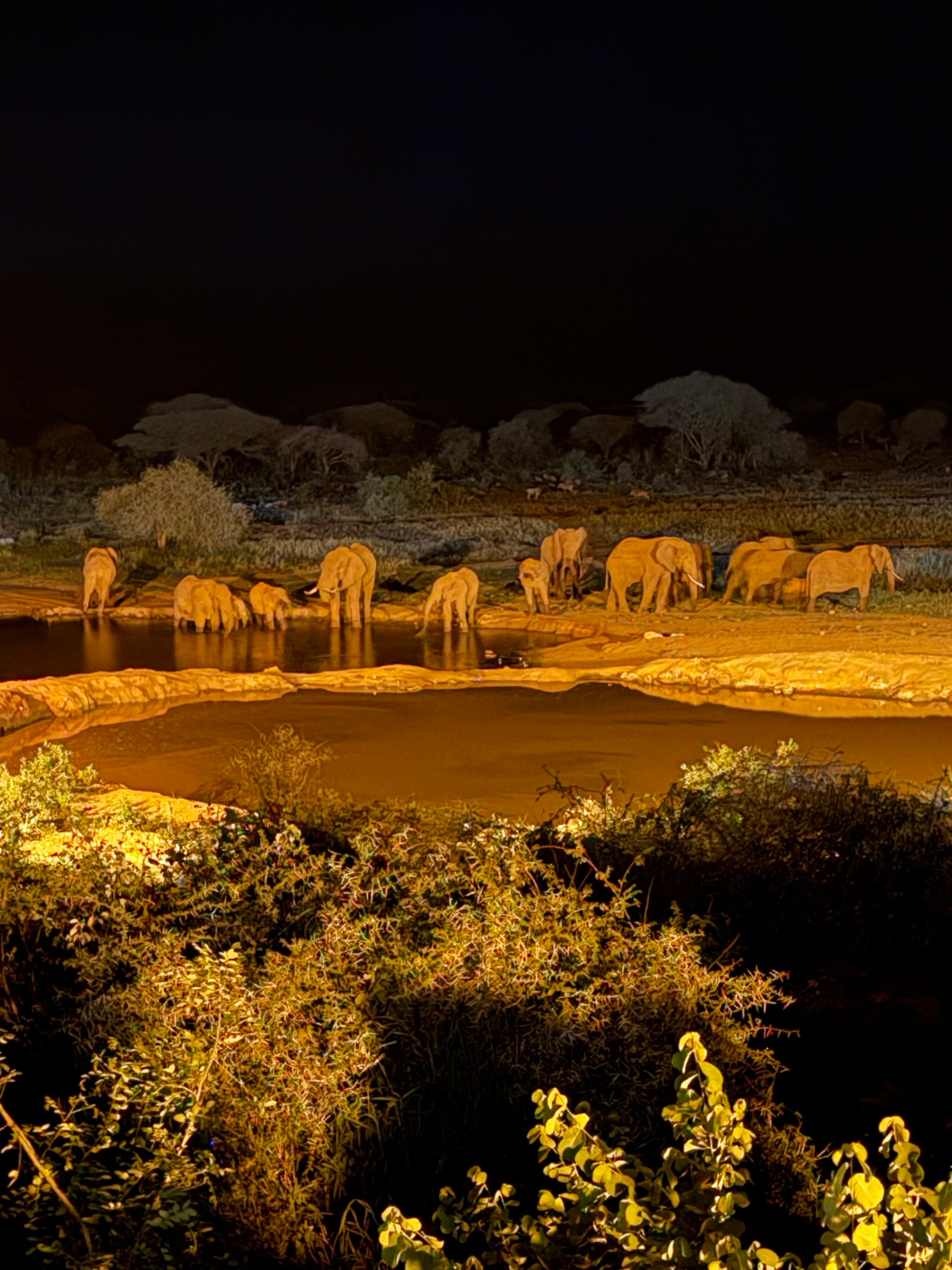 基拉库尼赛雷那野生动物园旅馆-官方
