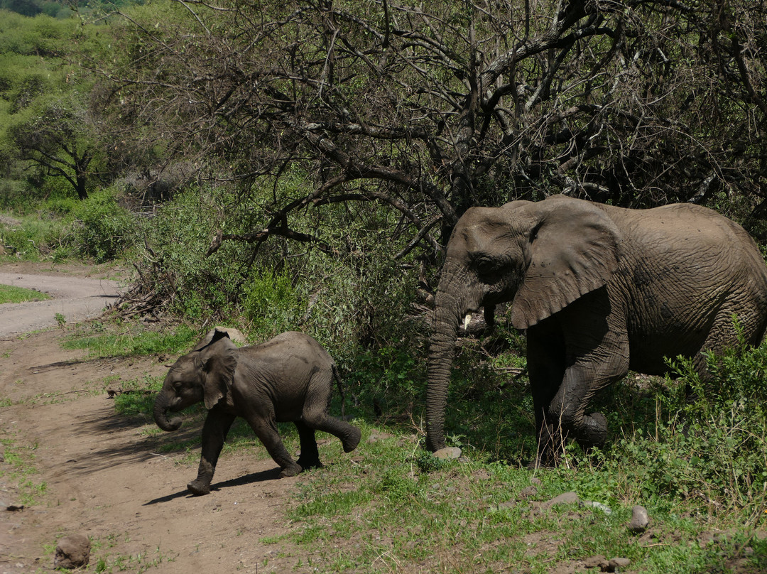 Great Escape Trails-莫西必去景点