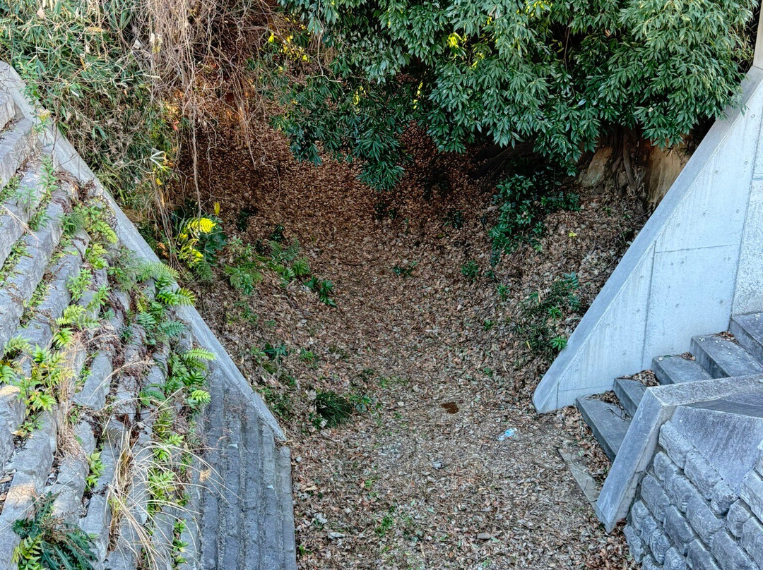 Koigakubo Village Water Diversion-国分寺市必去景点