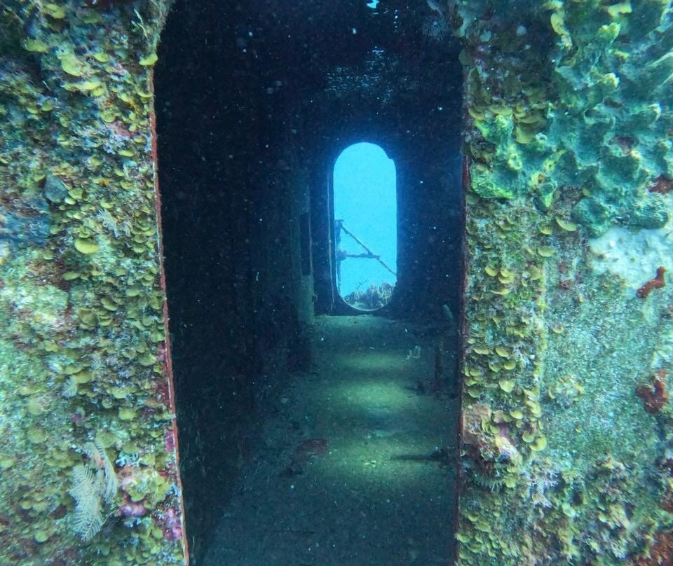 King Scuba Dive Center-从莫雷洛斯港必去景点