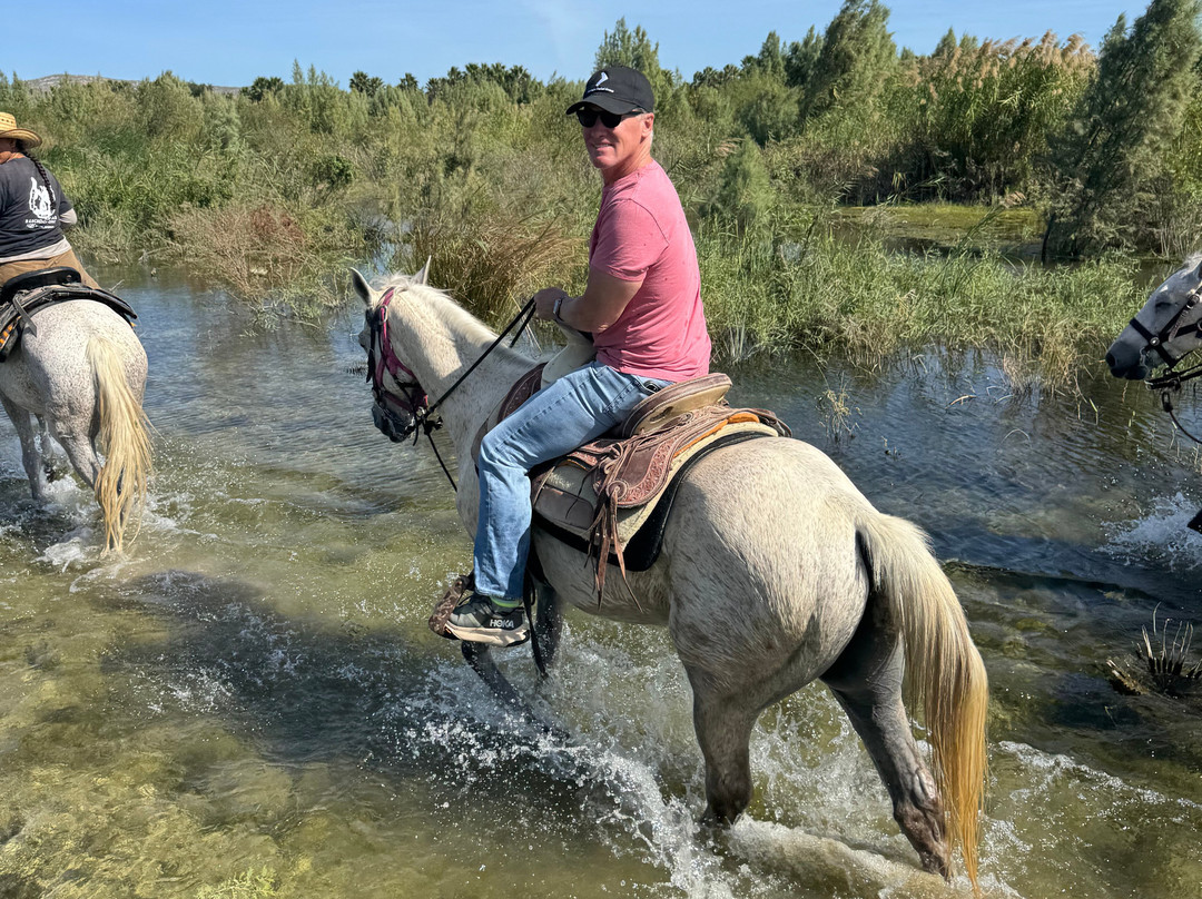 Rancho Animas-Animas Bajas必去景点