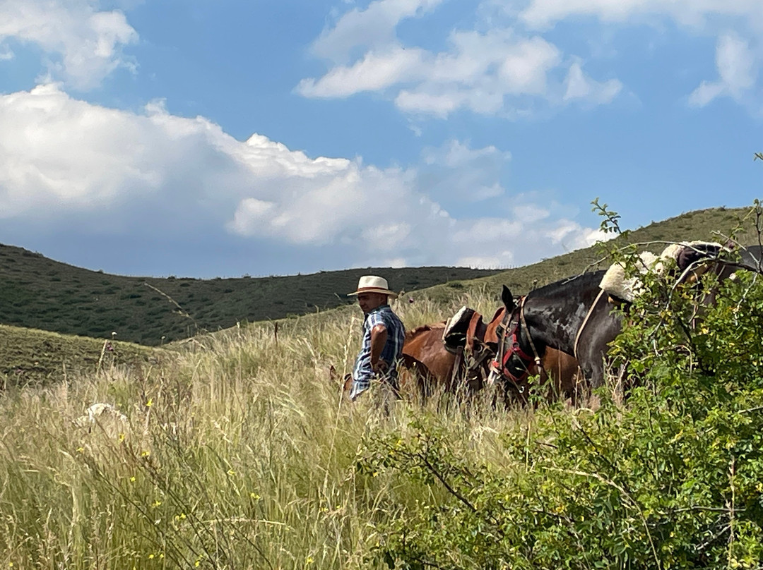 Estancia El Pico-Tupungato必去景点