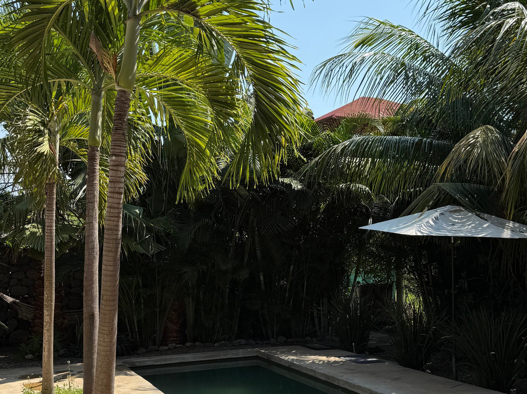 Experience Saladita-La Saladita必去景点