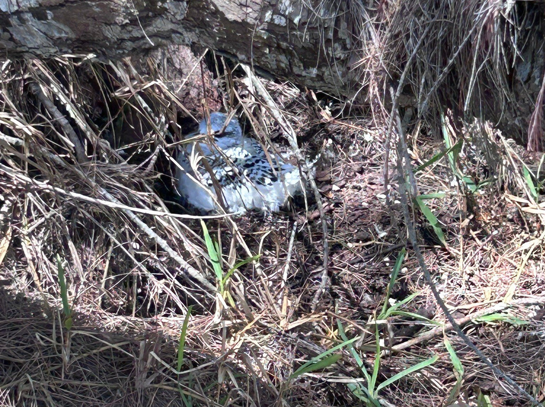 One Drop Excursions-格兰高伯必去景点