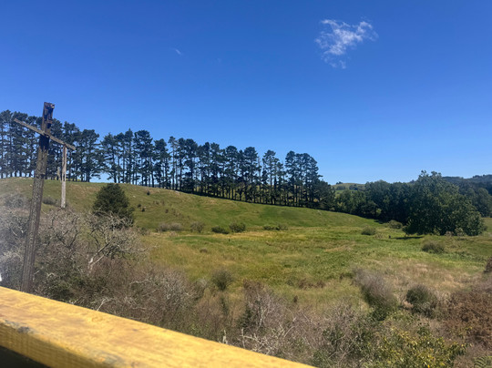 Goldfields Railway-Waihi必去景点