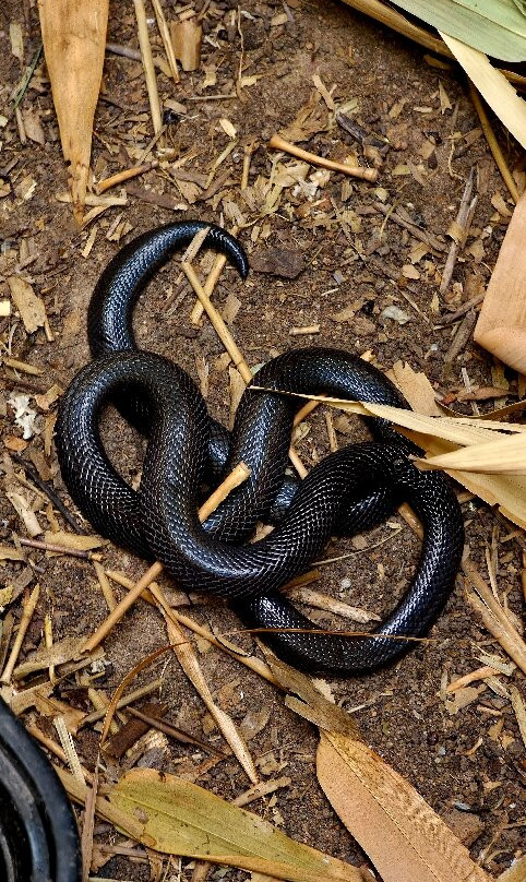Arch Tours-Kololi必去景点