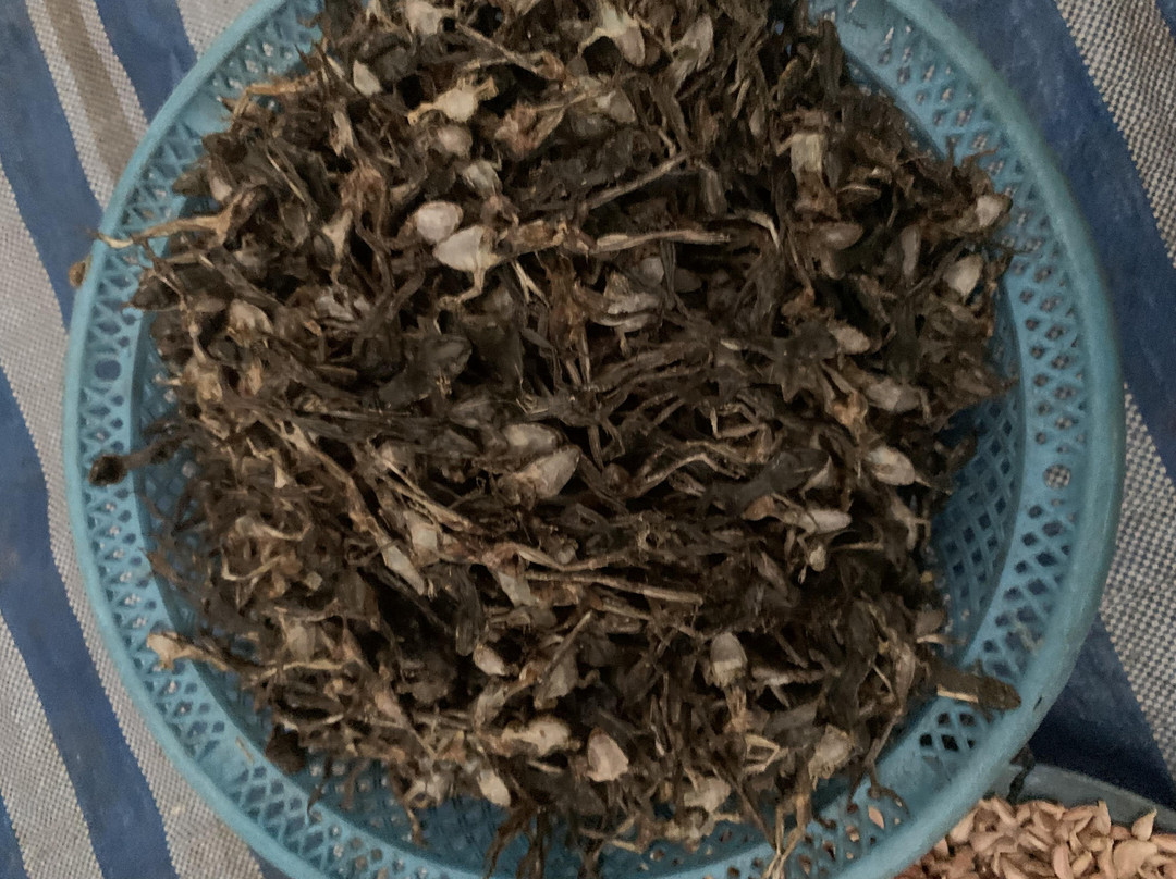 早市-琅勃拉邦必去景点