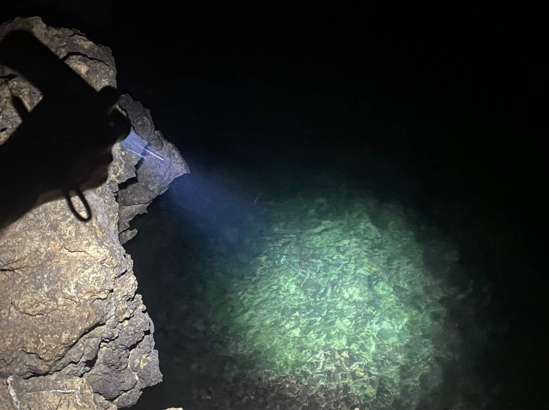 Tide Tribe - Trip To Charna Island-卡拉奇必去景点