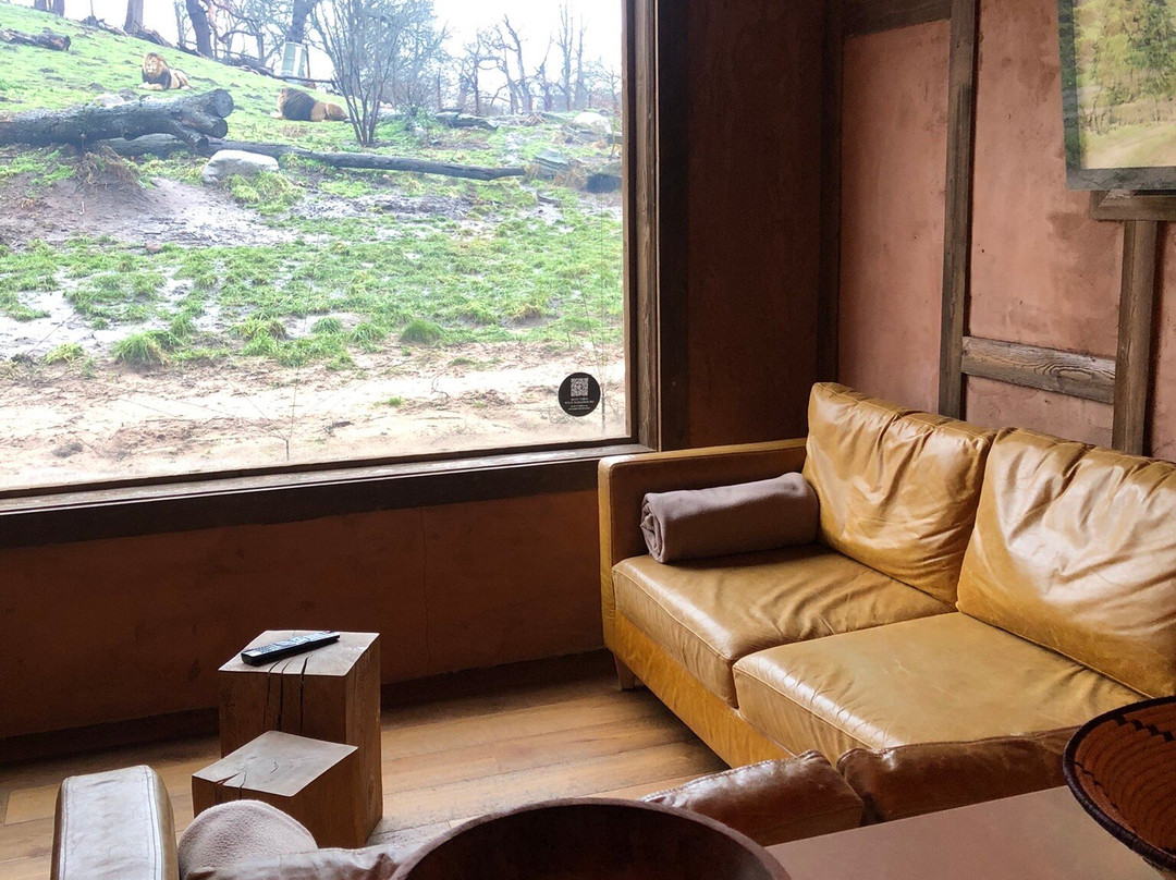 West Midlands Safari Park-Bewdley必去景点