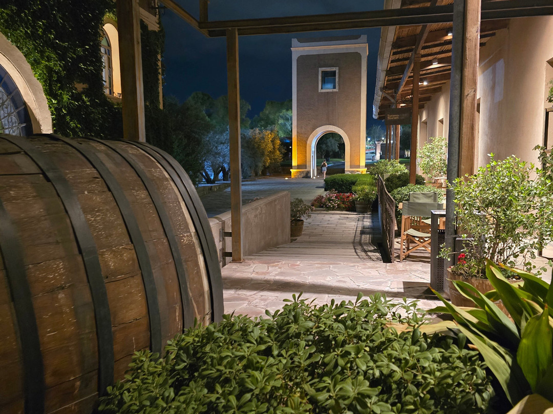 Bodega Los Toneles-门多萨必去景点