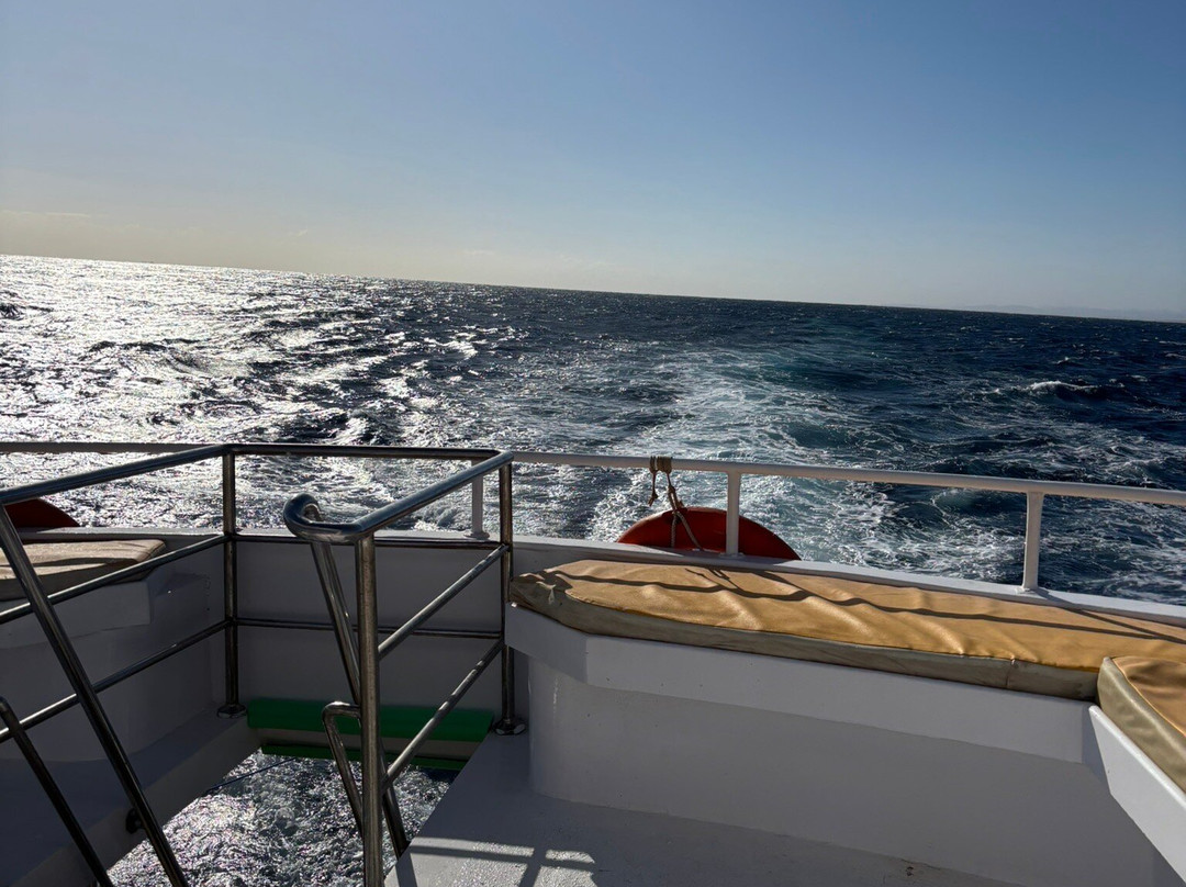 Orca Dive Club Safaga-Safaga必去景点