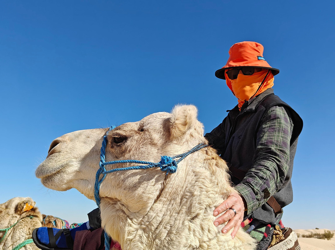 Sahha Sahara-杜兹必去景点