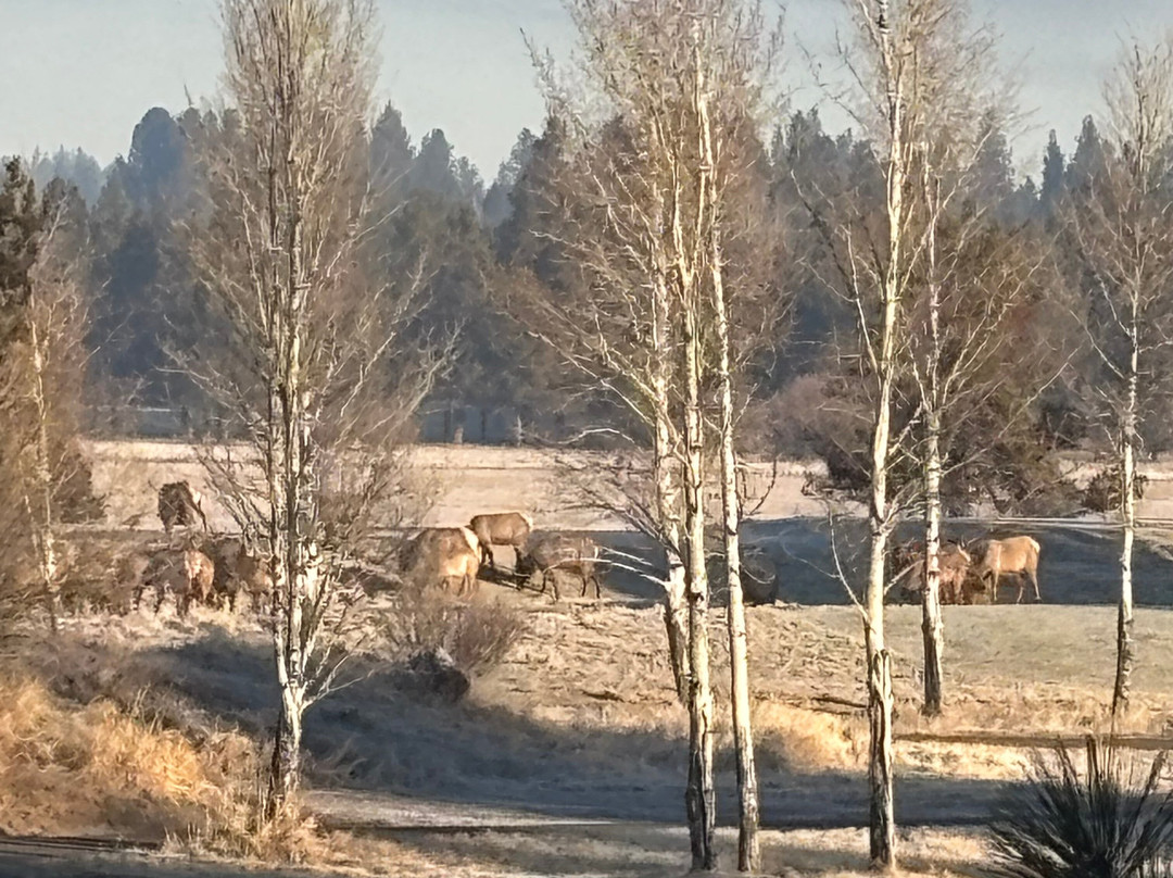 Sunriver Resort主图