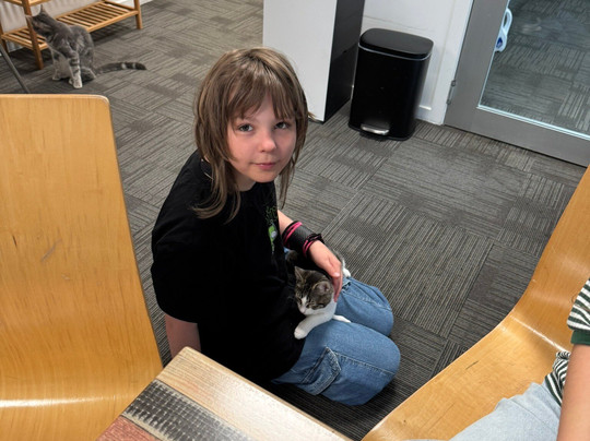 Neko Ngeru Cat Cafe-下赫特必去景点