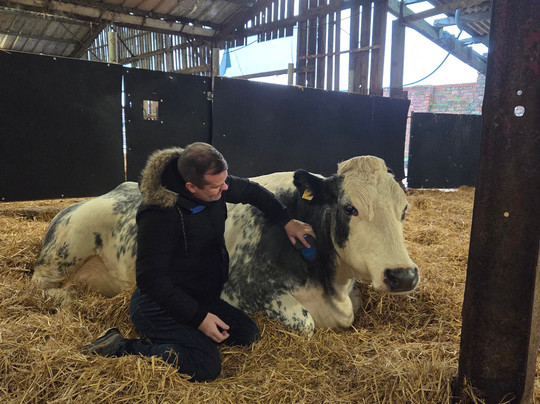 Dumble Farm-比弗利必去景点