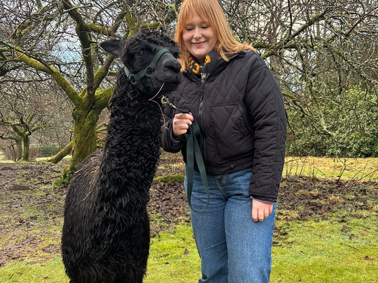 Alpacaly Ever After-Portinscale必去景点