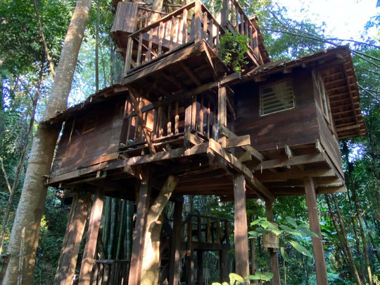 拉比昂帕萨克树屋度假村主图