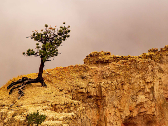 Queen's Garden Trail-布莱斯峡谷国家公园必去景点