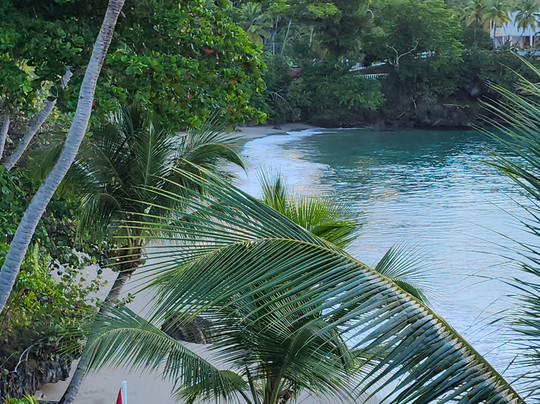 Bahia Principe Grand Samana主图