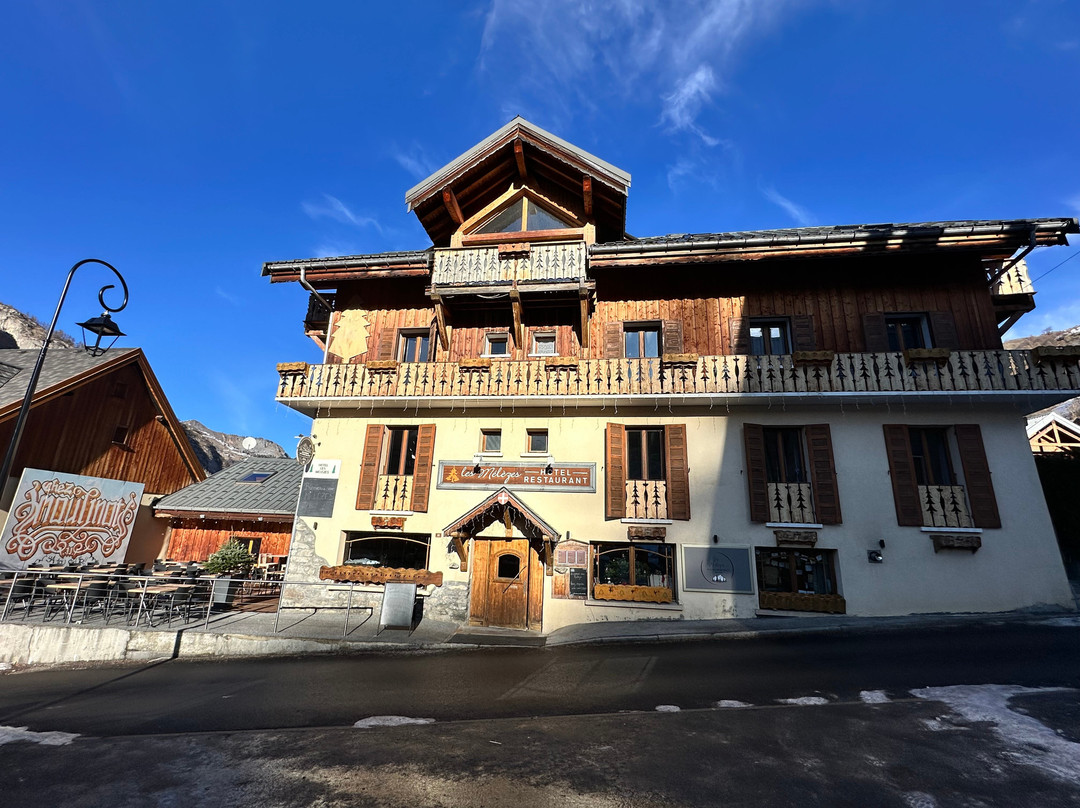 Hôtel-Chalet les Mélèzes主图